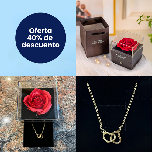 Joyero Rosa Eterna y Collar "True Love"